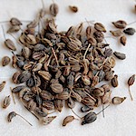 Anise Seeds