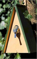 Apex Nest Box