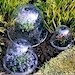 Plant Protection