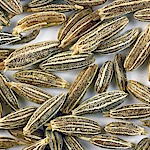 Cumin Seeds 