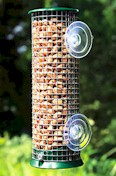 Discovery Window Peanut Feeder