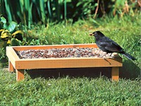 Ground Feeding Table