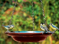 Hanging Water Dish