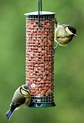 Discovery Hanging Peanut Feeder