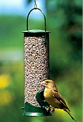 Discovery Hanging Seed Feeder