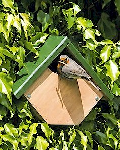 Robin & Wren Nest Box