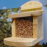 Squirrel Feeder