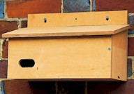 Swift Nest Box